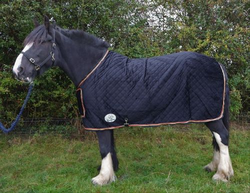 Ruggles Heavy Horse Velvet Show Rug - Black